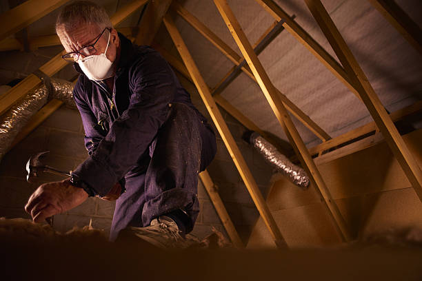 Best Eco-Friendly Insulation in Gladstone, MO